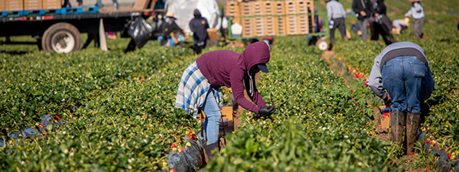 Advocacy in Action: Fire insurance, farm workforce, market relief and water infrastructure