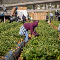 Advocacy in Action: Fire insurance, farm workforce, market relief and water infrastructure