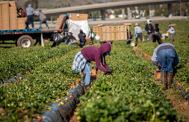 Advocacy in Action: Fire insurance, farm workforce, market relief and water infrastructure