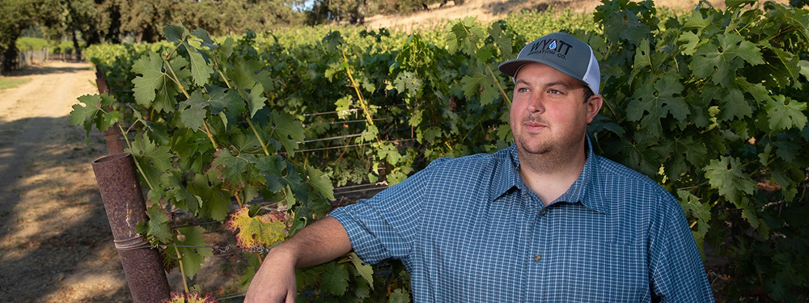 Regulatory costs put Napa County wine future at risk