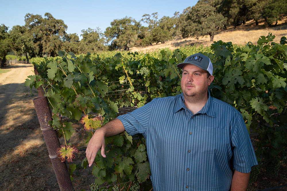 Regulatory costs put Napa County wine future at risk