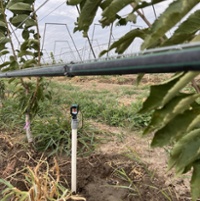 Rain Bird: Irrigation strategies protect crops from harsh cold snaps