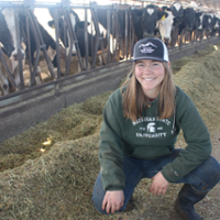 From the Fields - Madeline Desrochers