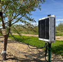 Plant moisture monitors help to optimize irrigation 