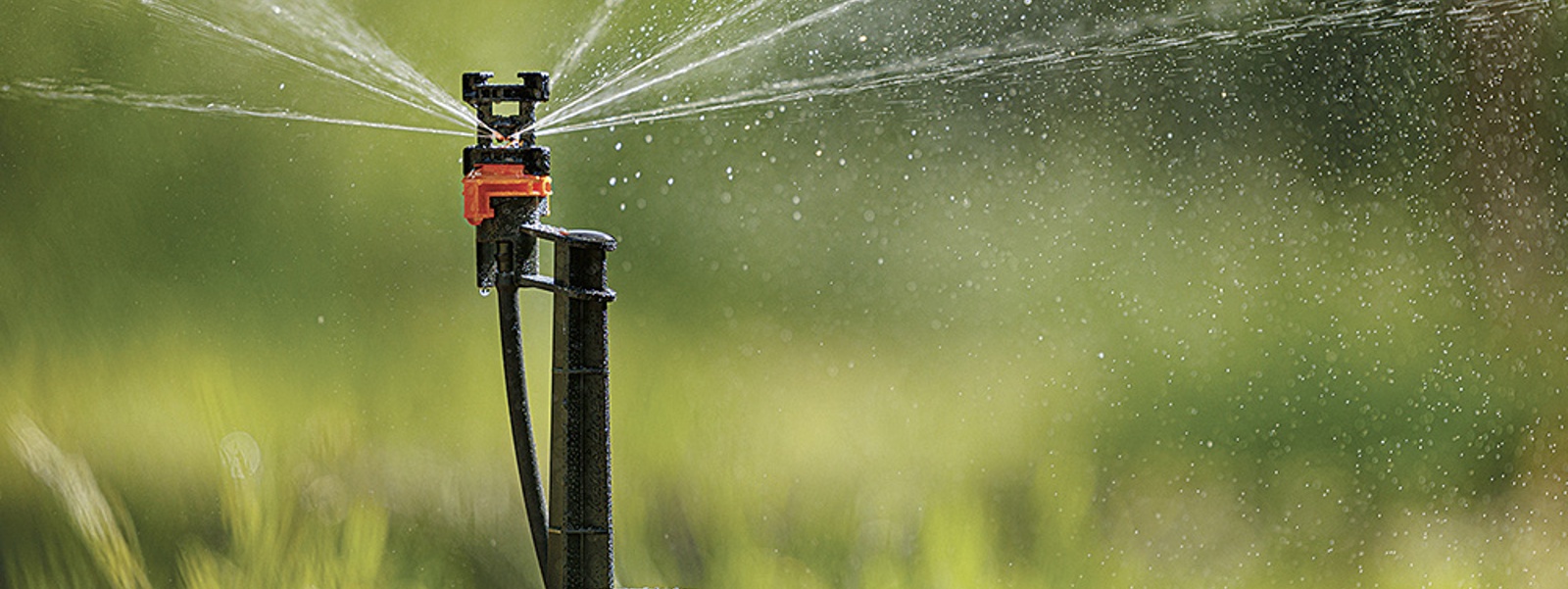 Are irrigation jets right for your orchard or vineyard?
