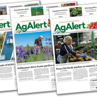 Editor's note: New biweekly Ag Alert brings sharper focus to vital topics