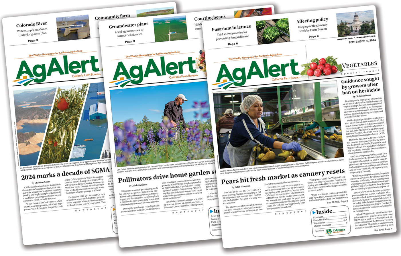 Editor's note: New biweekly Ag Alert brings sharper focus to vital topics