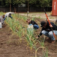 Young farmers fight hunger through Harvest for All 