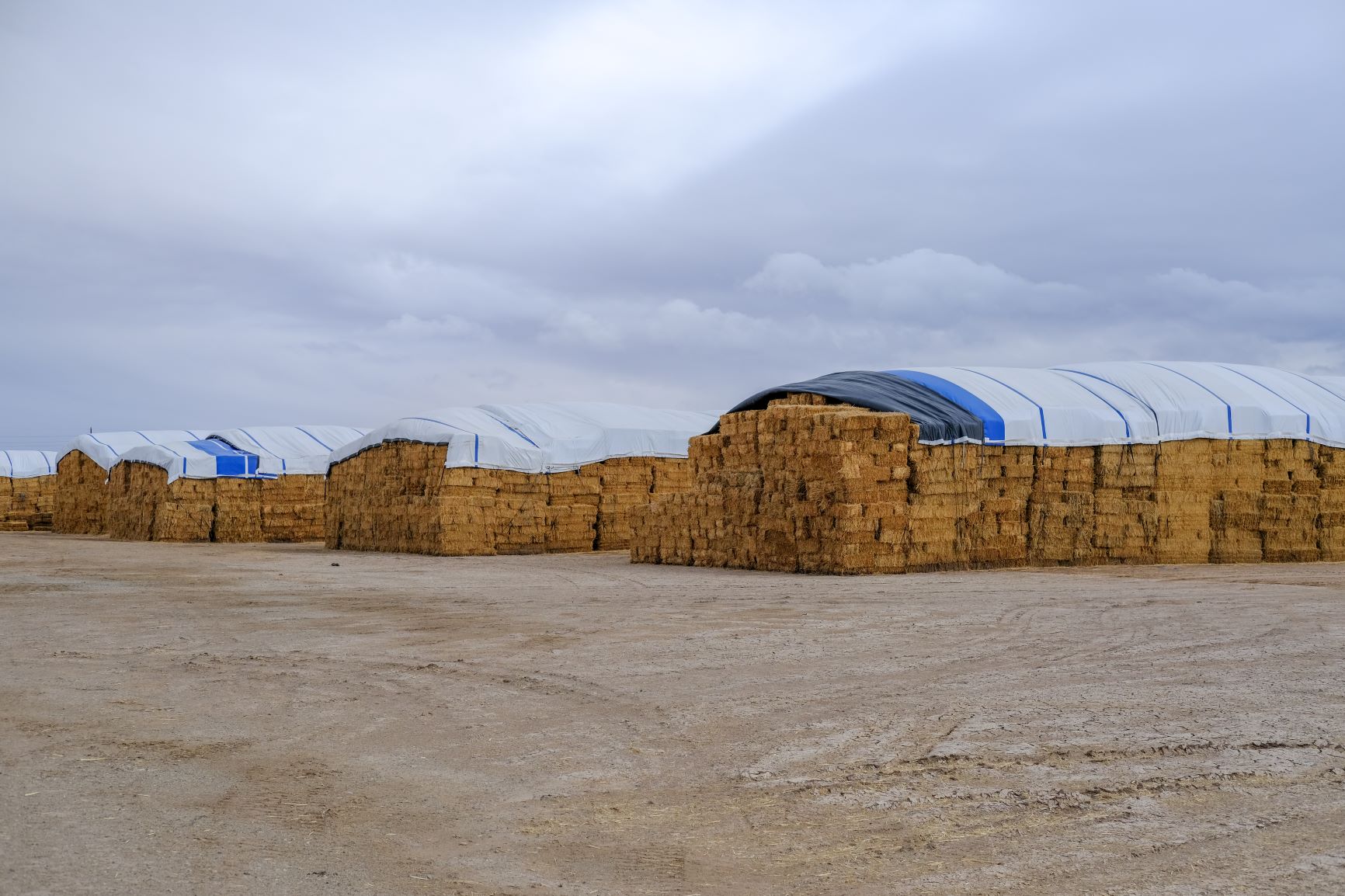 Imperial Valley goes dry as farmers act to protect river