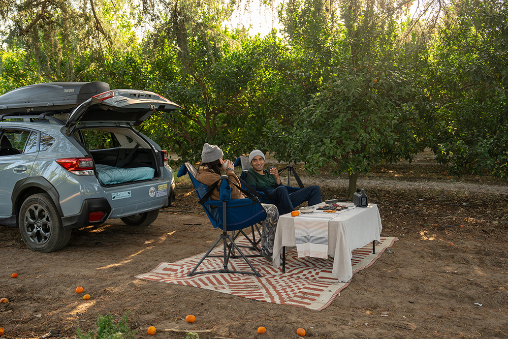 Overnight guests add key revenue stream for farms