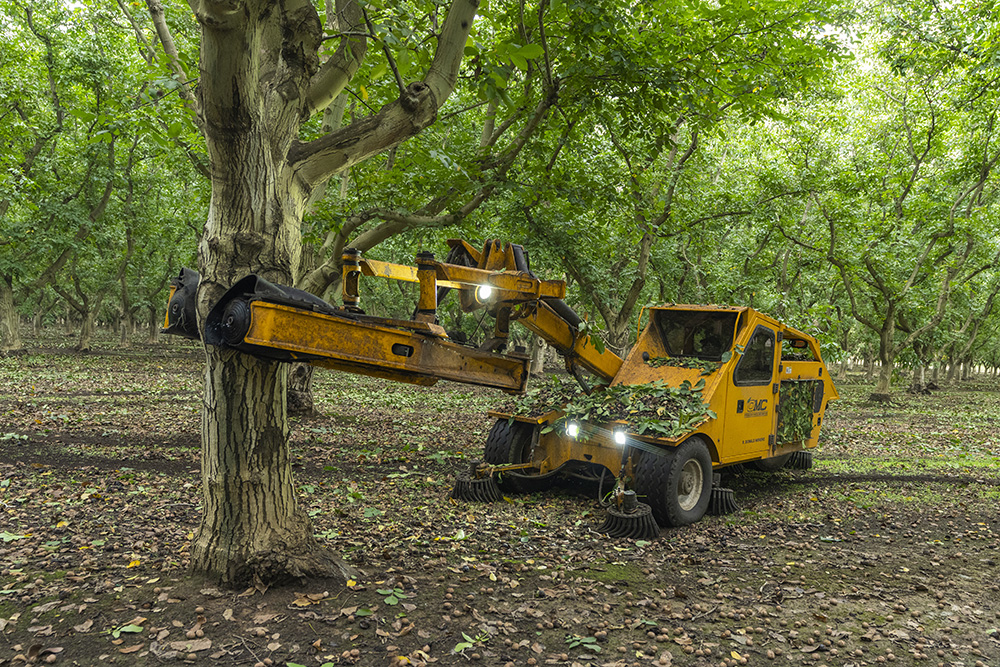 Latest campaign positions walnuts as fresh produce