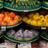 Organic farmers consider wish list for 2023 Farm Bill