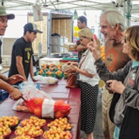 Farmers markets rebound, but pandemic effects linger