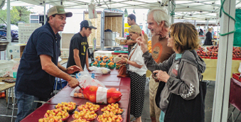 Farmers markets rebound, but pandemic effects linger