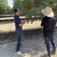 CCAs can help farms maximize their water for crops