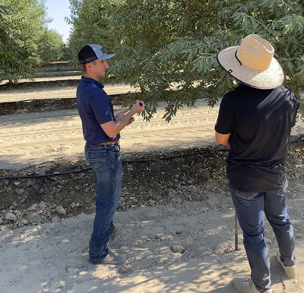 CCAs can help farms maximize their water for crops