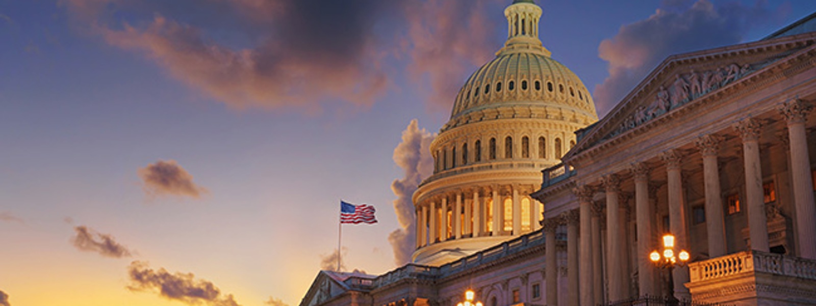 Advocacy in Action: Farm assistance, government purchases, WOTUS rule, Brown Act transparency, species protection, nitrogen requirements, New World screwworm and foreign-owned farmland