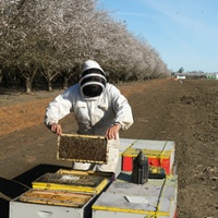 Beekeepers assess this year's colony health