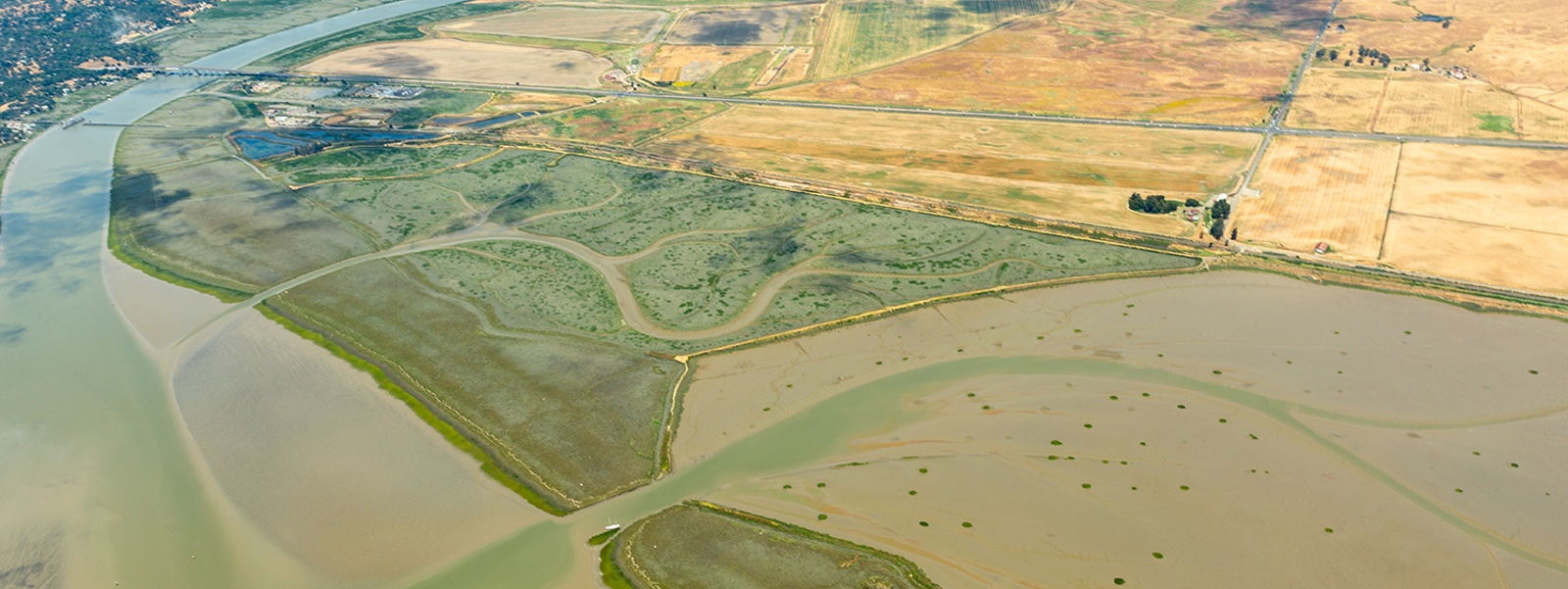 Newsom budget proposes fast track for delta tunnel