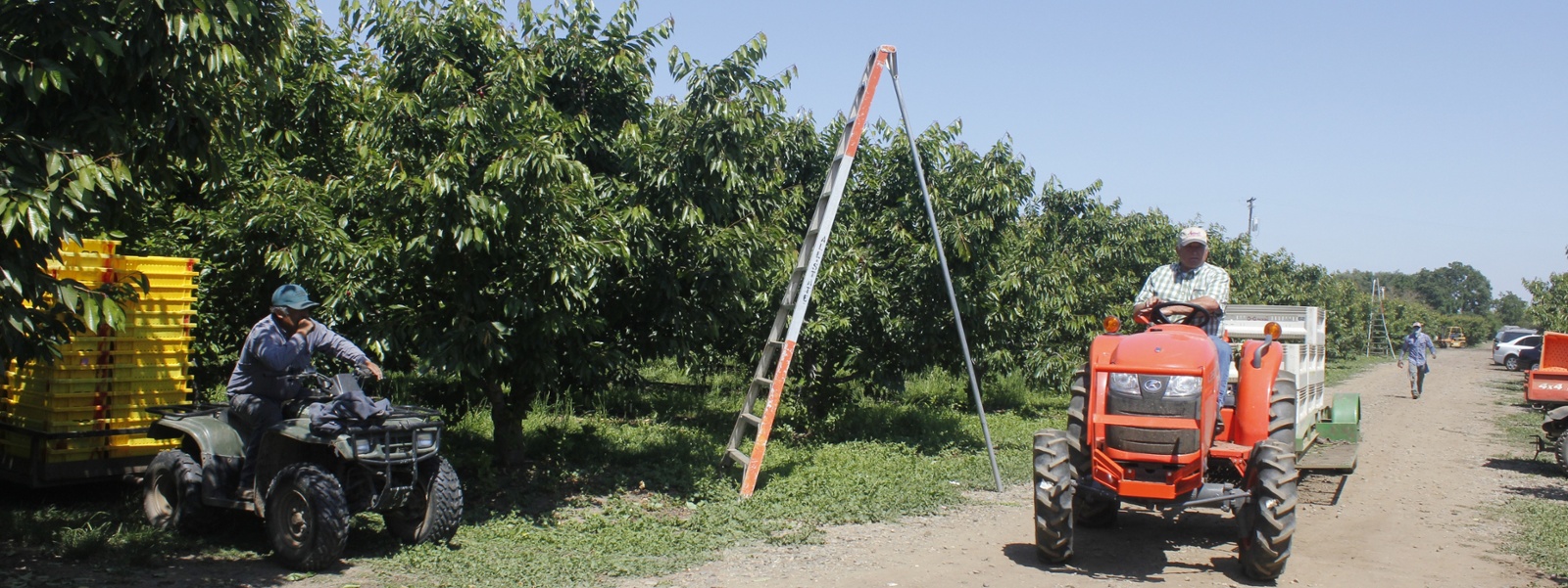 Commentary: Farm workplace tested by a side deal on unionizing