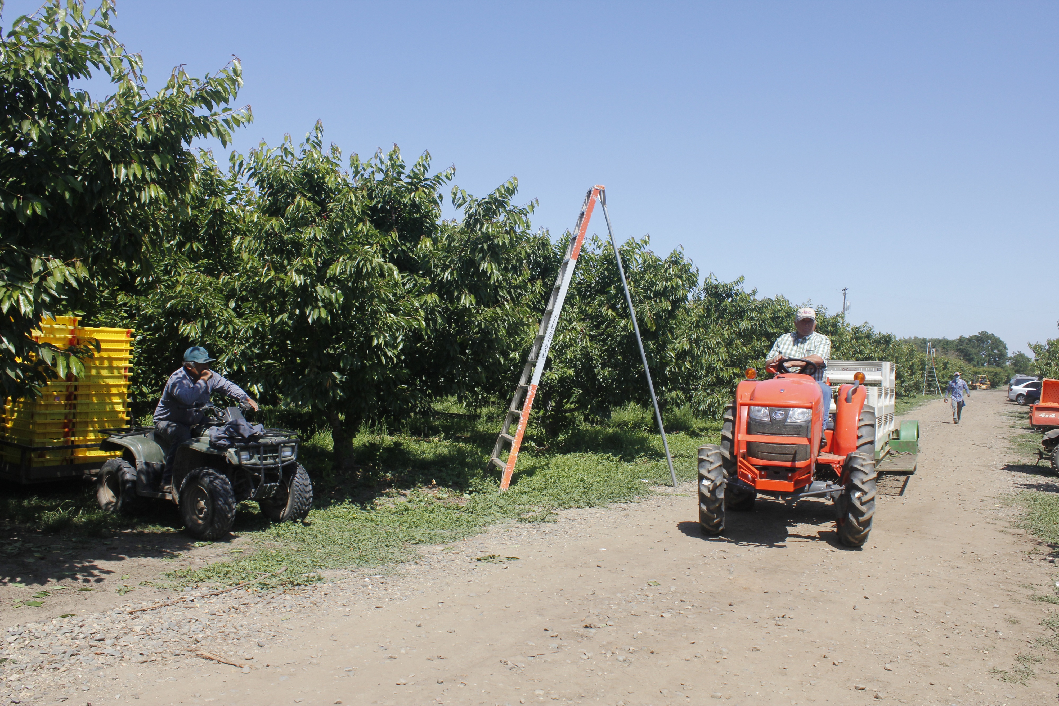 Commentary: Farm workplace tested by a side deal on unionizing