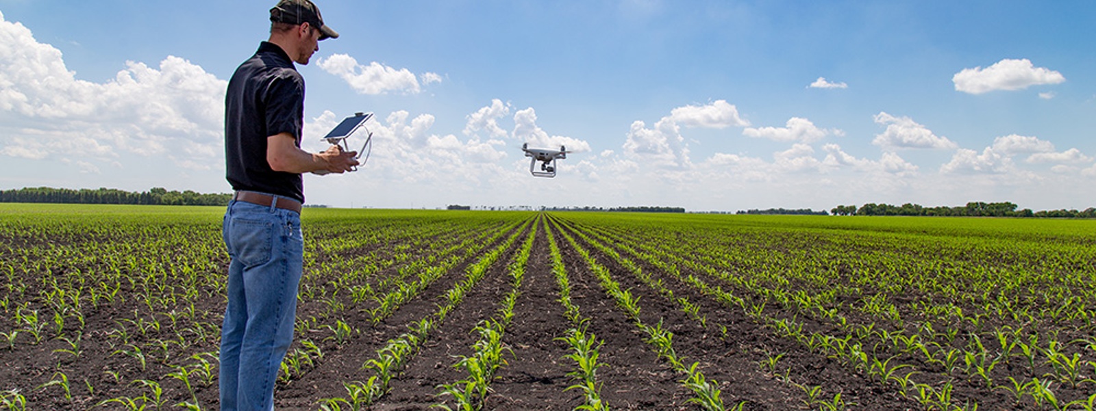 Low-cost ways small farms can lean into technology