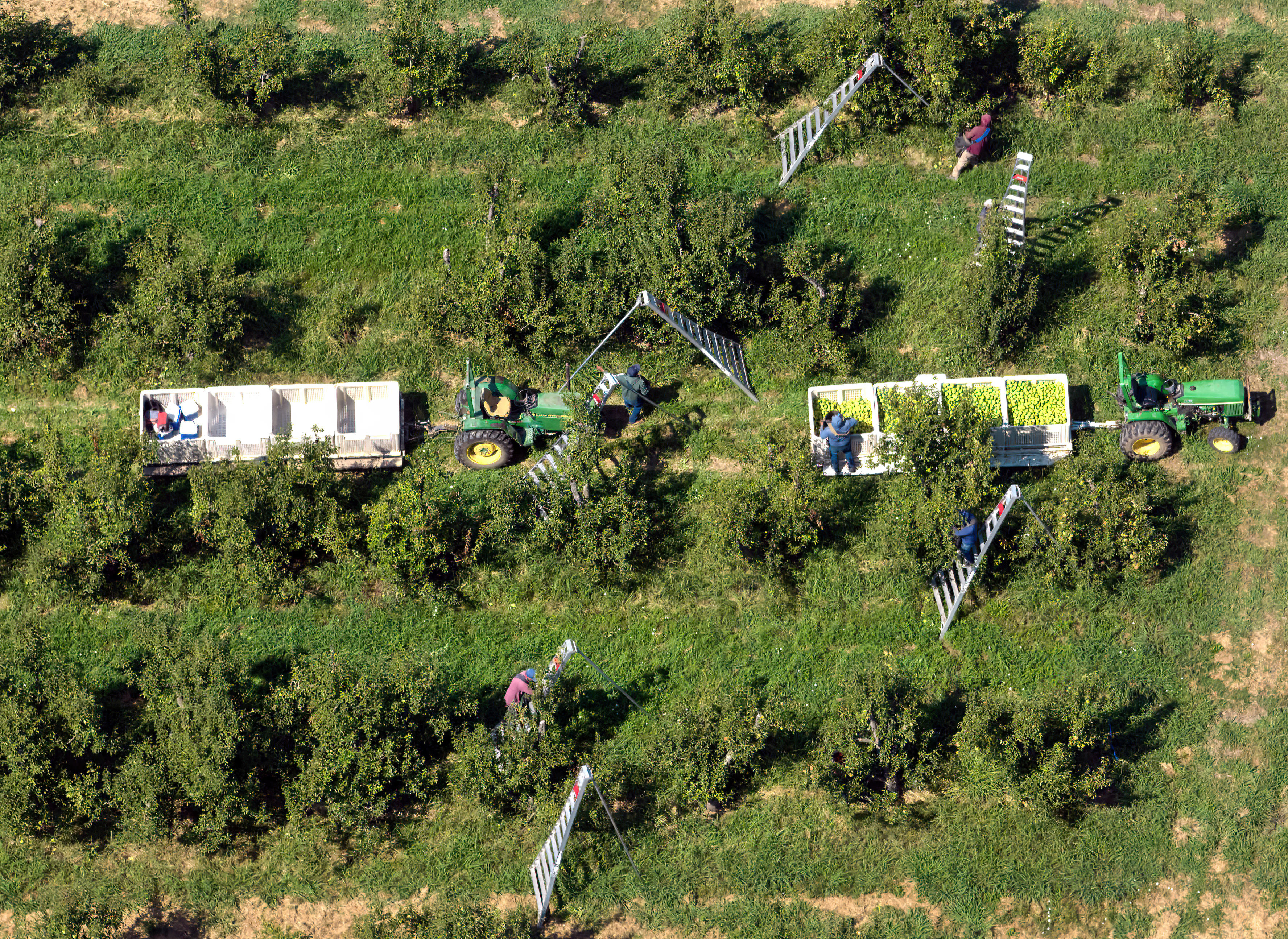 Researcher: Overtime law costing farmworkers $100 per week
