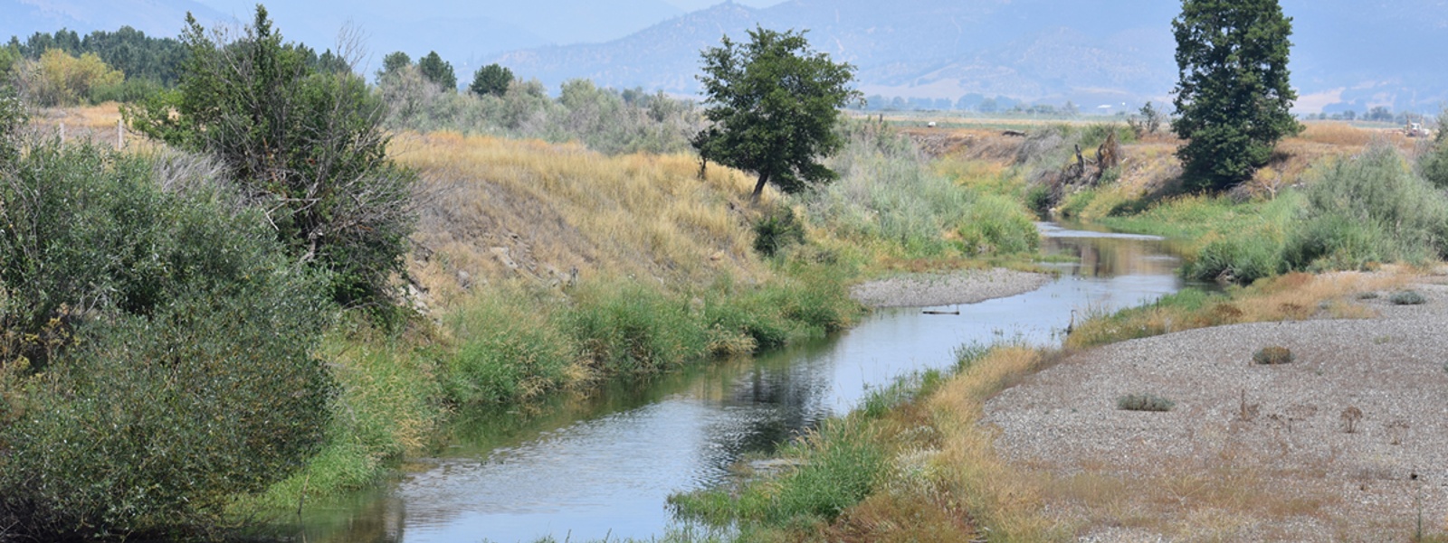 State to consider Scott and Shasta river flows rules