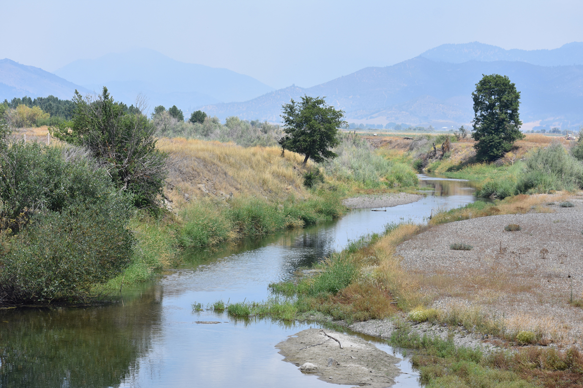 State to consider Scott and Shasta river flows rules