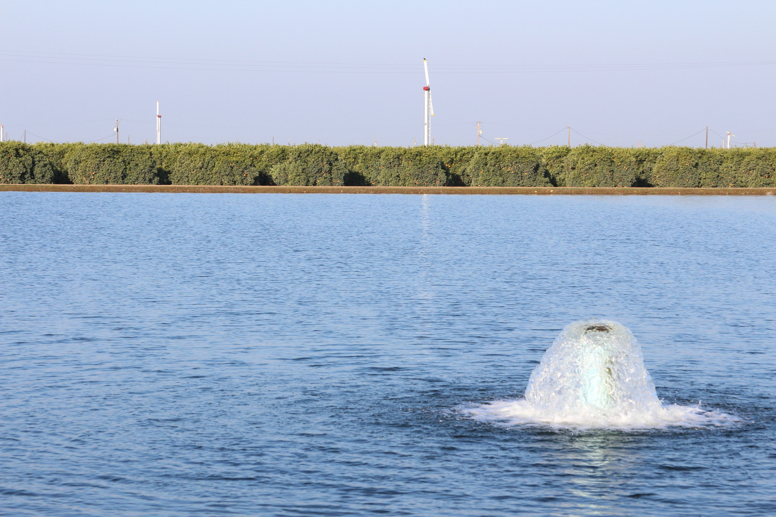 State water official says more work needed as SGMA evolves