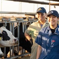 Solving veterinary shortage is crucial for agriculture