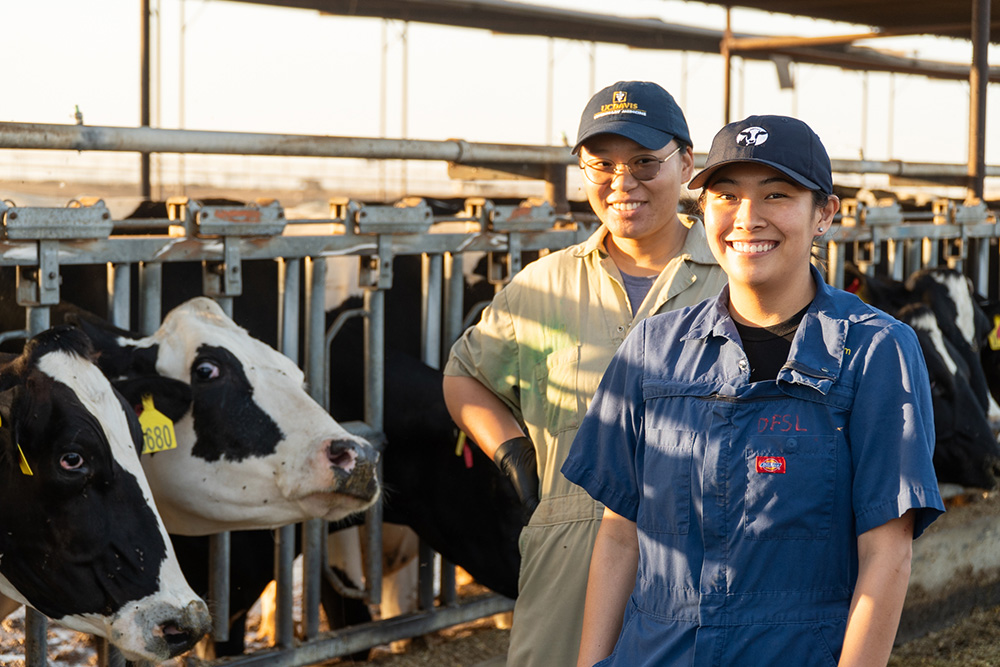 Solving veterinary shortage is crucial for agriculture