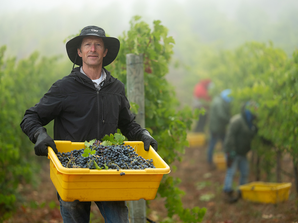 Natural wine trend revives old-fashioned methods