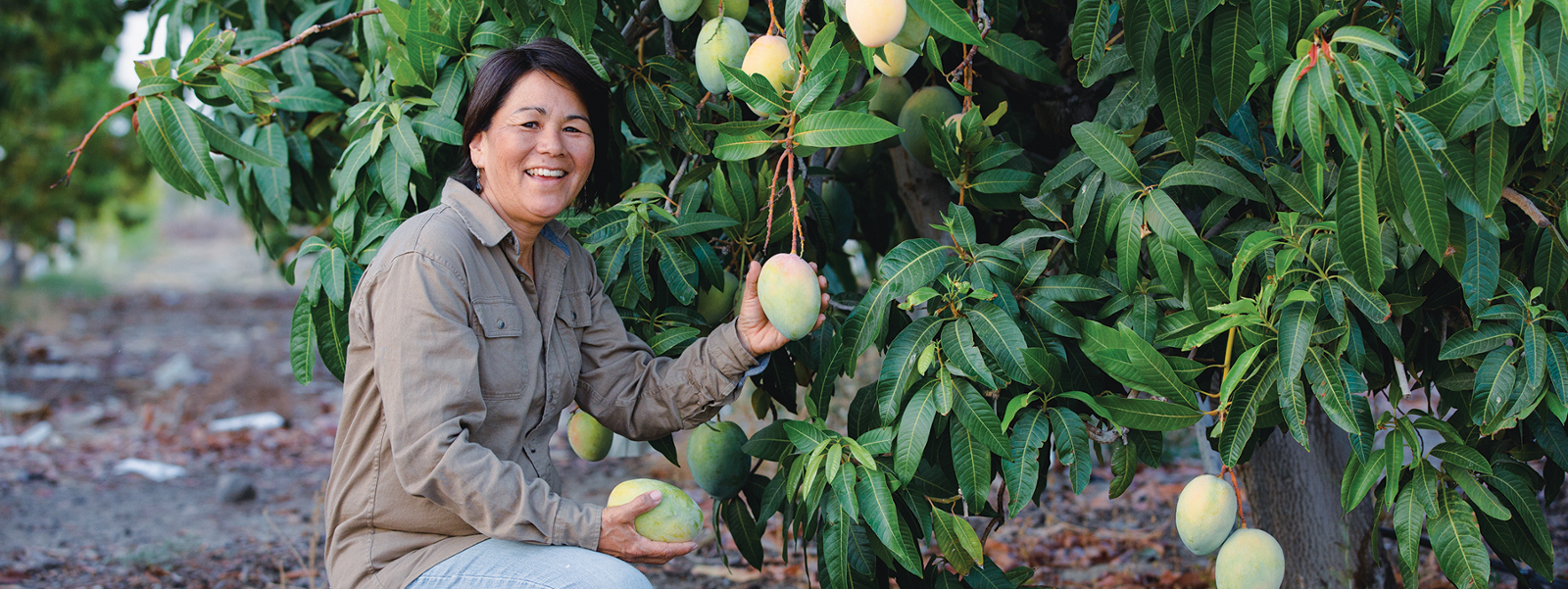 From the Fields - Debbie Chamberlain