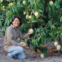 From the Fields - Debbie Chamberlain