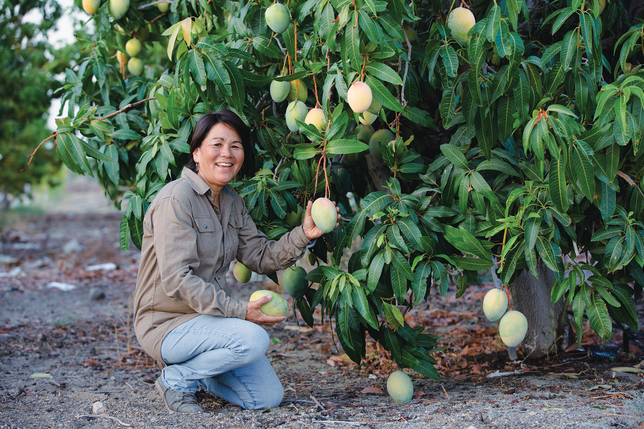 From the Fields - Debbie Chamberlain