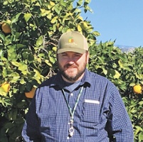 Ask Your PCA: What is the best way to manage avocado thrips? 