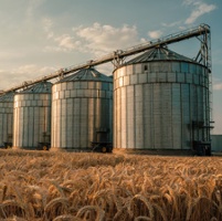 Harvest strategies for managing grain quality, safety risks and storage challenges