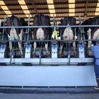 Farmers gather to talk sustainability projects at dairies 