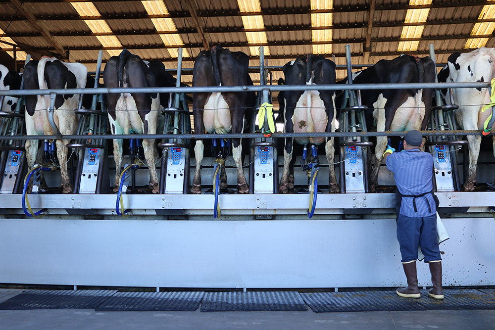 Farmers gather to talk sustainability projects at dairies 