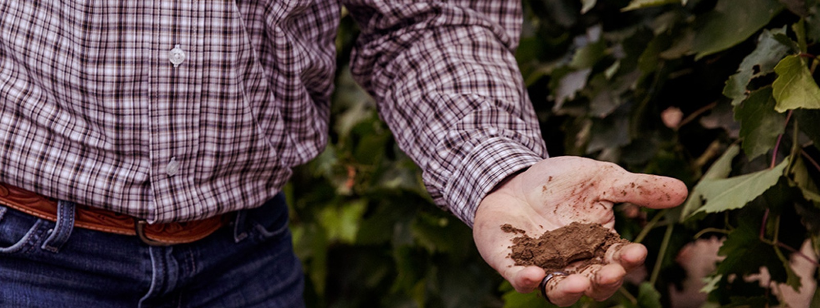 Certified Crop Advisers guide growers in smart nutrient management