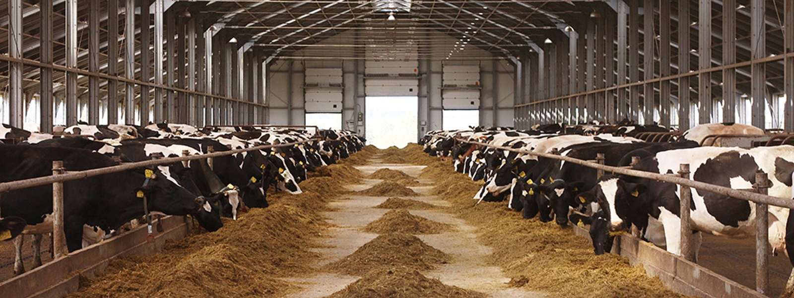 Dairy producers reject effort&nbsp;to end state milk pool quota