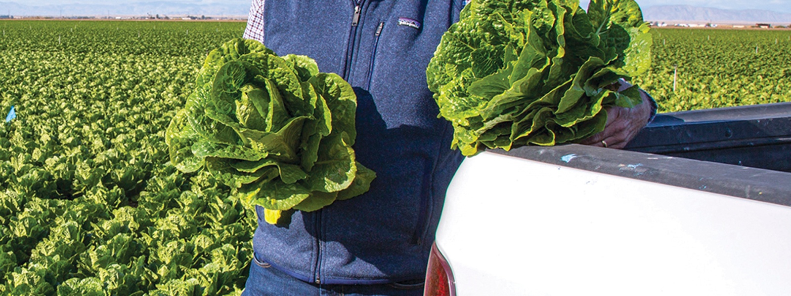 From the Fields: Alex Jack, ​​​​​​​Imperial County vegetable farmer