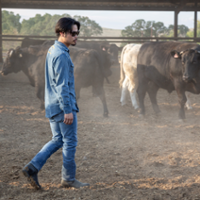 Wagyu beef ranch brings Japanese tradition to U.S.