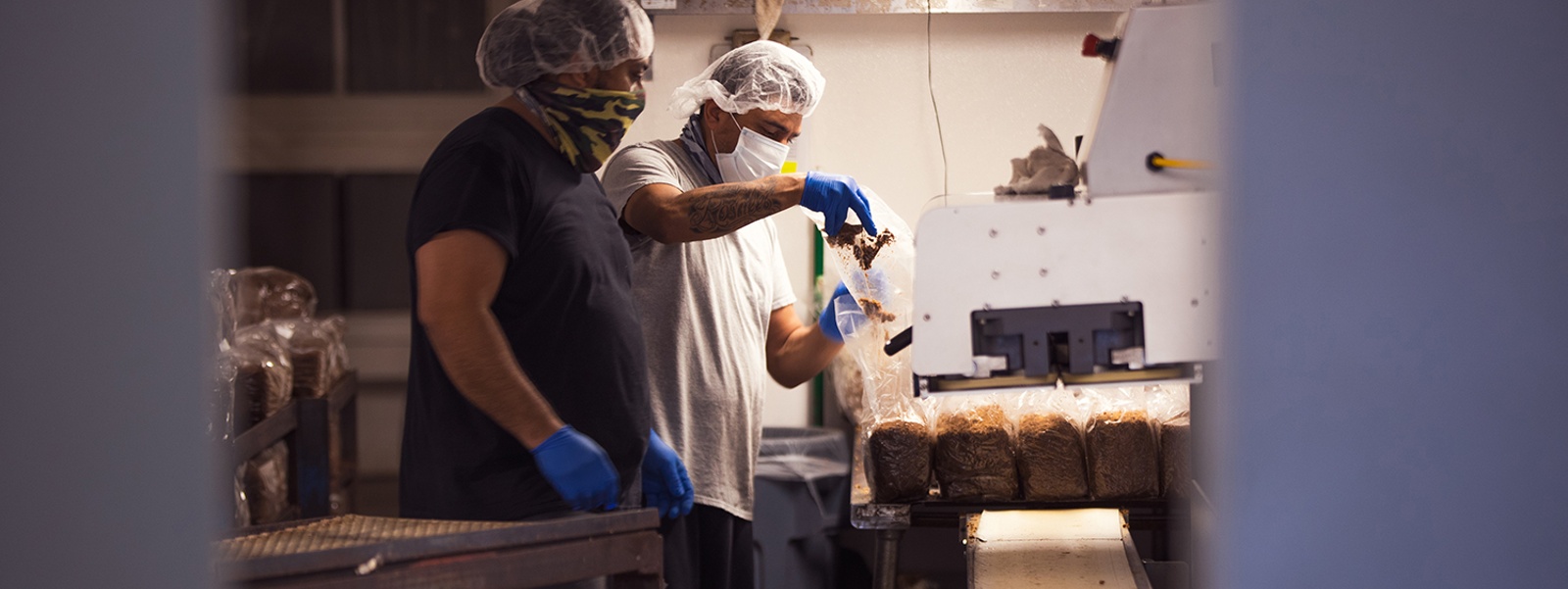 Mushroom growers criticize U-turn on new organic rules