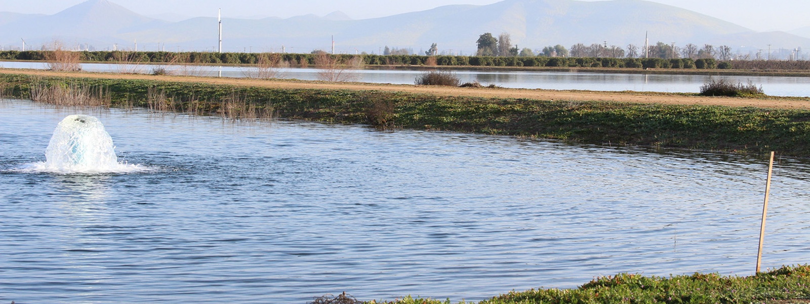 Kern County groundwater basin escapes state takeover