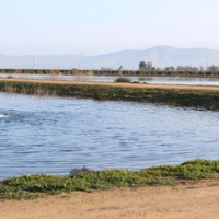 Kern County groundwater basin escapes state takeover