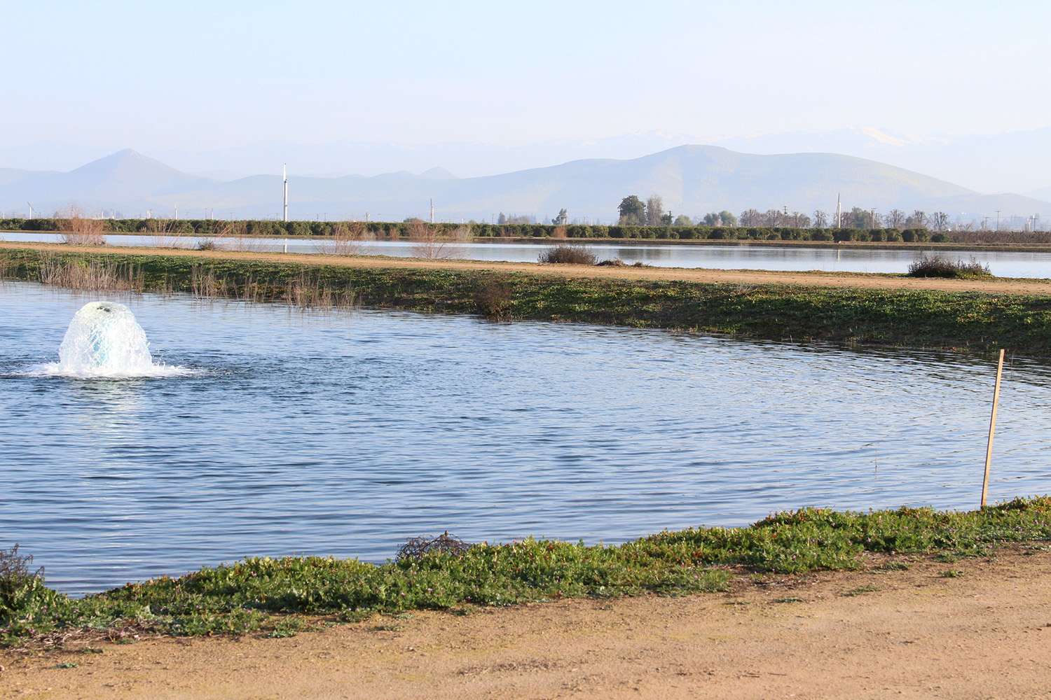 Kern County groundwater basin escapes state takeover