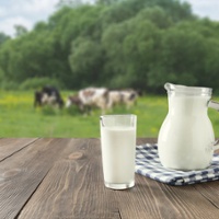 Worries of milk price drop weigh on dairy farmers