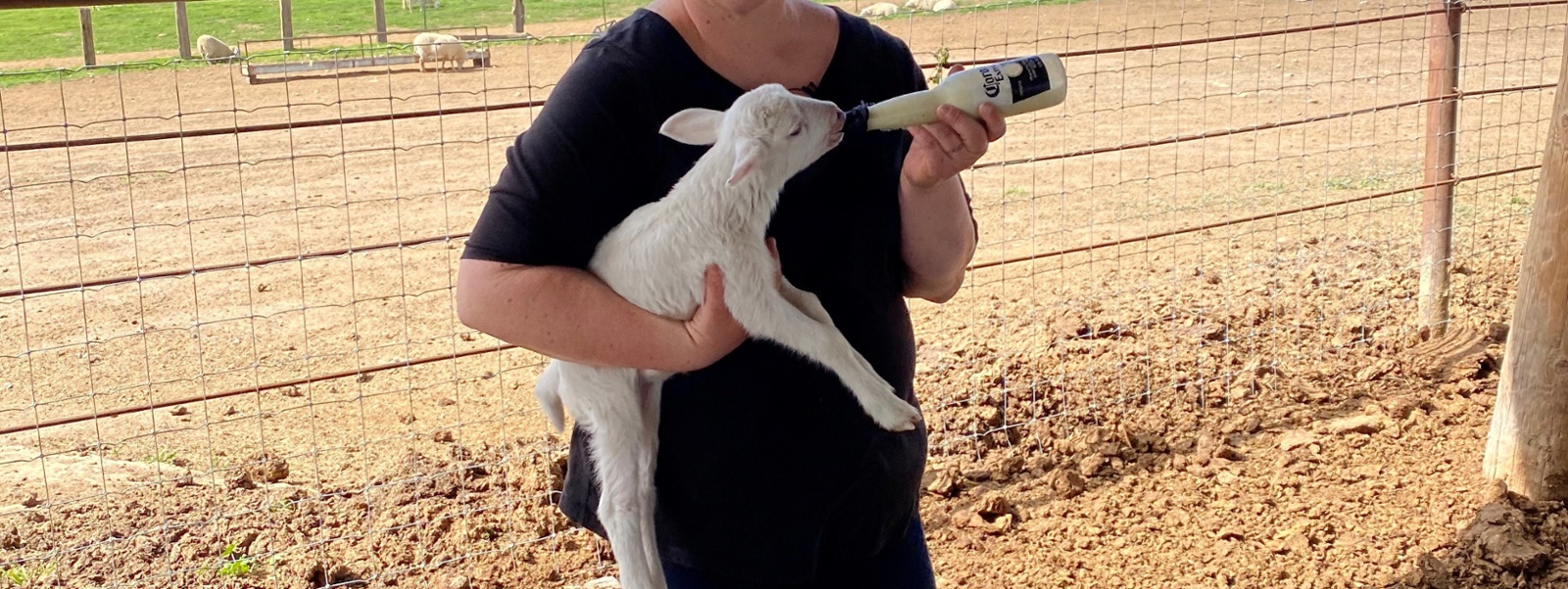 From the Fields: Benina Montes,&nbsp;Merced County tree crop grower and sheep rancher